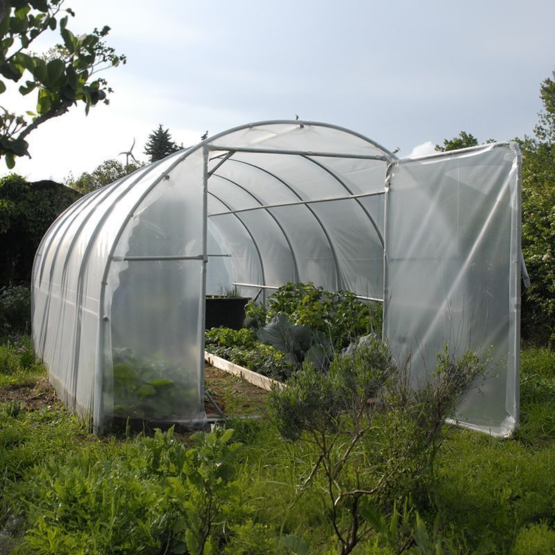 Jardinière souriante avec deux tomates dans sa serre