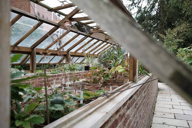 ventilation et aération d'une serre de jardin par des fenêtres