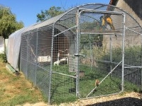 Pour animaux