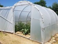 Serre de jardin