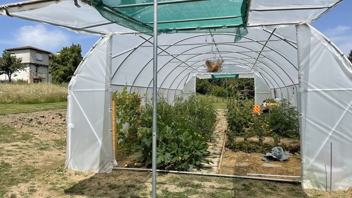 Construya una pajarera en su jardín con los consejos de Serres La Française