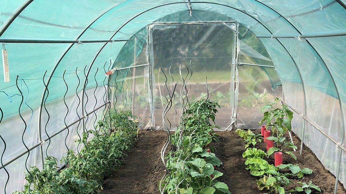 Serre de jardin tunnel ombrage - Jardin et Saisons