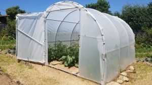 Serre tunnel à pieds droits 21m²