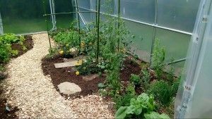 serre de jardin