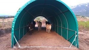 Tunnel PVC intérieur