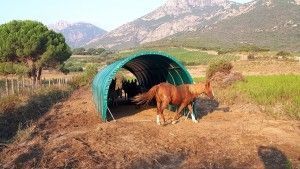 Tunnel PVC