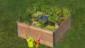 carré potager composteur