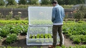 mini serre de jardin au sol