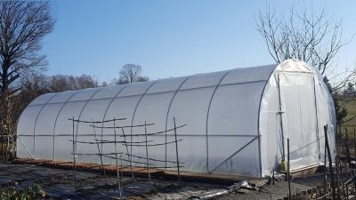Serre de jardin 29m2