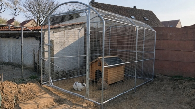 Encols lapin
