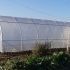 Serre de jardin 54m2