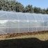 Serre de jardin 67,50m2