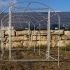 Acero galvanizado