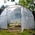 Serre de jardin
