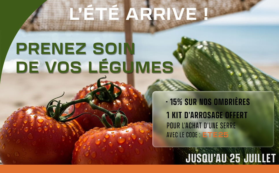 Promo Accessoires