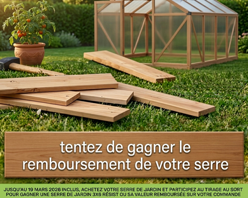 Inauguration showroom