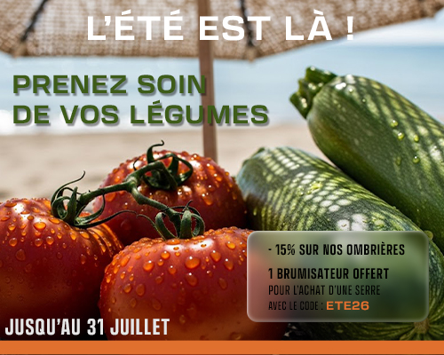 Promo accessoires